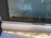 Zierleiste Leiste - Hinten Linke Opel Vectra, C 2002.04 - 2005.10 Gebraucht,