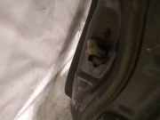 Türfangband Türbremse Türstopper - Vorne Linke Honda Accord, 2003.02 - 2005.09 Gebraucht,