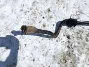 Stabilisator Vorne Ford Kuga, I 2008.01 - 2012.06 Gebraucht,