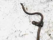 Stabilisator Vorne Renault Laguna, I 1994.01 - 2001.03 Gebraucht ,