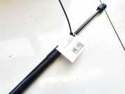 Gasfeder für Motorhaube Chevrolet Captiva, 2006.01 - 2011.06 05532220813, 055-322-2081-3