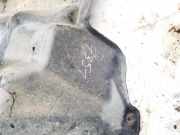 Unterfahrschutz Nissan Qashqai, I 2006.01 - 2010.06 Gebraucht,