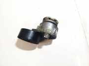 Spannrolle Renault Megane, II 2002.11 - 2006.06 8200861569,