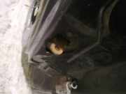 T?rfangband T?rbremse T?rstopper - Vorne Linke Opel Astra, F 1991.09 - 1998.09 Gebraucht,