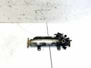 Abgaskühler AGR-Kühler Dodge Journey. 2009.01 - 2014.12 03g131512ah,03g131512ah
