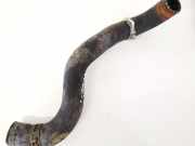 K?hlerschlauch Toyota RAV-4, III 2005.11 - 2012.12 Gebraucht,