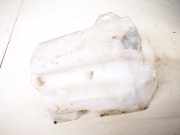 Scheibenwaschbeh?lter Vorne Wischwasserbeh?lter Renault Scenic, II 2003.06 - 2006.06 8200104705c,8200104705