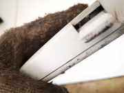 Innenspiegel Rückspiegel Skoda Octavia, II 2004.02 - 2009.03 e9014022,