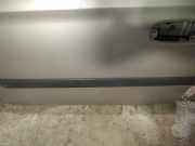 Zierleiste Tür Zier-Schutzleiste - Vorne Linke Chrysler Grand Voyager, IV 2000.02 - 2008.12 Gebraucht,