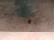 Waschwasserdüse Scheibenreinigung Mazda 323, 1994.01 - 1998.09 Gebraucht,