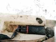 Waschwasserpumpe Scheibenreinigung Toyota Avensis, II 2003.04 - 2006.03 Gebraucht,