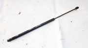 Gasdruckfeder Kofferraum Rover 200, 1995.10 - 2000.03 GS601123516,