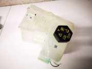 Ausgleichsbehälter Tesla Model Y, 2020 --> 154647500l,