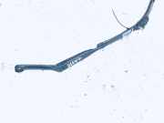 Windschutzscheibe Scheibenwischer Opel Vectra, B 1995.09 - 2000.09 90504174,