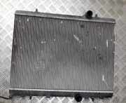 Wasserk?hler Peugeot 407, 2004.05 - 2010.12 PA66GF30,PA66-GF30