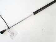 Gasdruckfeder Kofferraum Renault Laguna, II 2001.03 - 2006.05 Gebraucht,