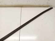 Zierleiste Leiste - Vorne Rechts Audi A6, C5 2001.08 - 2005.01 facelift Gebraucht,