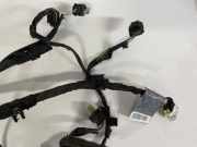 Kabelbaum Einparkhilfe BMW 5-Series, F07F10 F11 2010.03 - 2016.12 9241694,514927a02