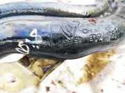 Tankeinfüllstutzen Tankrohr Kraftstoffrohr Renault Megane, III 2008.11 - 2012.06 451851,