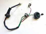 Lampenträger Heckleuchte - Hinten Nissan Leaf, I 2010 - 2017.12 Gebraucht,