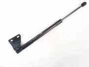 Gasdruckfeder Kofferraum Chevrolet Captiva, 2006.01 - 2011.06 96830124,