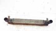 Ladeluftkühler Ford Galaxy, Mk I 1995.03 - 2000.04 7m0145805, 95vw9l440aa