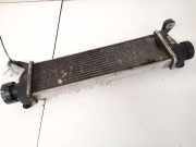 Ladeluftkühler Mercedes-Benz A-CLASS, W168, 1997.07 - 2001.06 a1685000000,