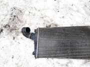 Ladeluftkühler Opel Insignia A, 2008.01 - 2013.01 13241751, p1831002