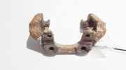 Bremssattelträger - Hinten Rechts BMW 5-Series, E60 E61 2003.07 - 2010.03 Gebraucht,