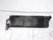 Ladeluftkühler Renault Scenic, II 2003.06 - 2006.06 Gebraucht,