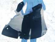 Radhausschale - Vorne Linke Renault Scenic, II 2003.06 - 2006.06 8200136723,