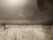 Zierleiste Tür Zier-Schutzleiste - Vorne Linke Citroen C5, II 2008.02 - 2011.01 Gebraucht,