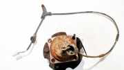 Kabelbaum Toyota Avensis, II 2003.04 - 2006.03 Gebraucht,