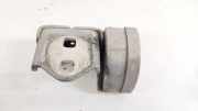 T?rscharnier Hinten Renault Megane, II 2002.11 - 2006.06 Gebraucht,