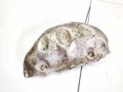 Hitzeschutzblech Abgaskrümmer Ford Mondeo, 2000.11 - 2007.03 Gebraucht,