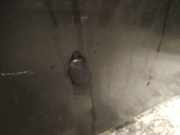 Waschwasserdüse Scheibenreinigung Ford S-Max, 2006.05 - 2014 Gebraucht,