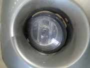 Nebelscheinwerfer - Vorne Rechts Nissan X-Trail, 2001.06 - 2007.06 Gebraucht,