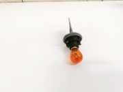 Glühbirnenfassung Blinker Volkswagen Golf, V 2003.10 - 2008.10 Gebraucht , BLS