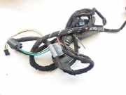 Kabelbaum BMW 3-Series, E46 1998.02 - 2002.06 13318810,bm2d073120 8375411