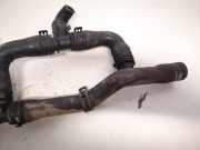 K?hlerschlauch Seat Alhambra, 2000.06 - 2010.03 facelift Gebraucht,