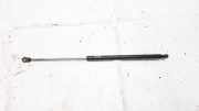 Gasdruckfeder Kofferraum Lexus IS, II 2005.10 - 2013.03 Gebraucht,
