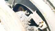 Sensor für ABS - Hinten Linke Chevrolet Captiva, 2006.01 - 2011.06 Gebraucht,