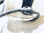 Waschwasserpumpe Scheibenreinigung Fiat Punto, 1999.09 - 2005.10 b805d1841, 2k23010538