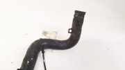 K?hlerschlauch Kia Sportage, 2004.09 - 2010.01 Gebraucht,