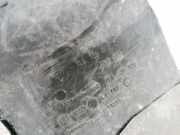 Luftfilterkasten Porsche Cayenne, 2002.01 - 2010.06 7l5129607d, 7l0129620