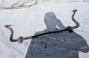 Stabilisator Vorne Citroen C5, II 2008.02 - 2011.01 9662911980,9662911980
