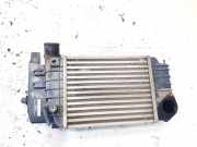 Ladeluftkühler Toyota Yaris, II (XP90) 2005.01 - 2011.01 jd1270000620,jd127000-0620