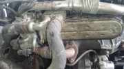 Abgaskühler AGR-Kühler Volkswagen Golf, V 2003.10 - 2008.10 038131513AD, BXF