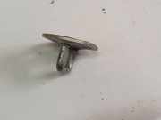 Schloss Heckdeckel Renault Scenic, II 2003.06 - 2006.06 Gebraucht,