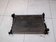 Wasserkühler Fiat Bravo, 2006.11 - 2014 878200010,878200010 0100230010